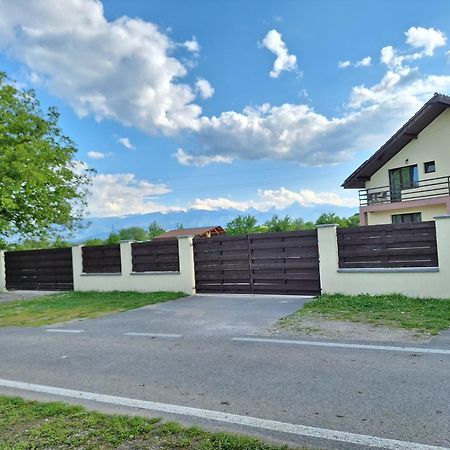 Pensiunea Daria Хацег Екстер'єр фото