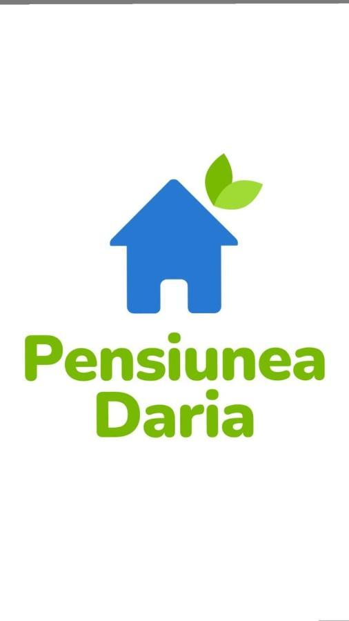 Pensiunea Daria Хацег Екстер'єр фото